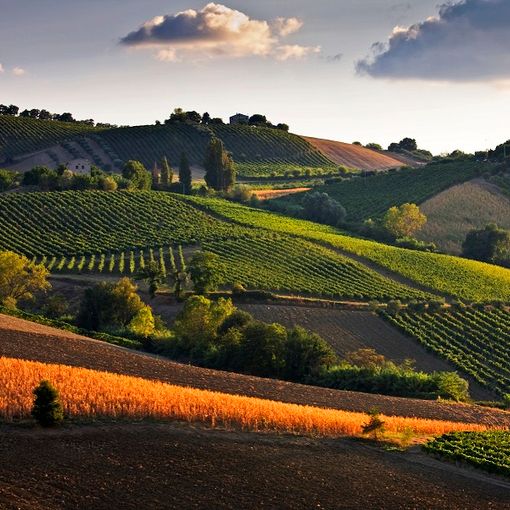 Il castello di Parella e il suo parco storico, in provincia di Torino, riaprono