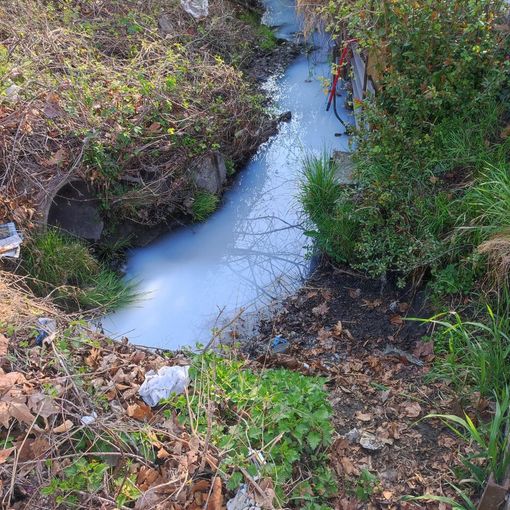 canale inquinato