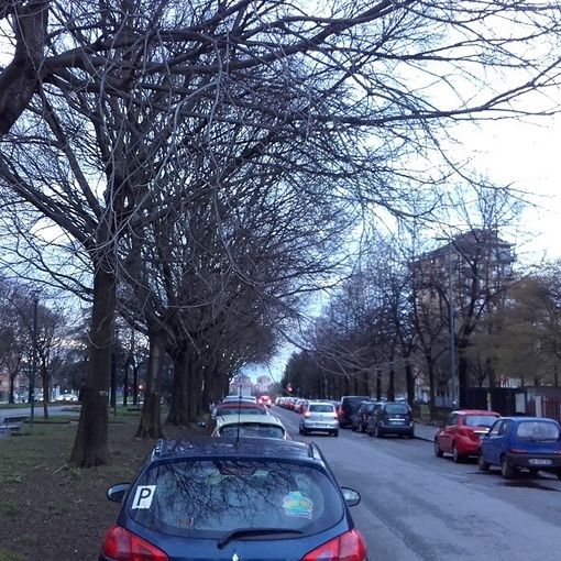 Passeggiata &quot;sul campo&quot; per i consiglieri della Circoscrizione 4, tra tombini, foglie in eccesso e spazi verdi a rischio (FOTO)