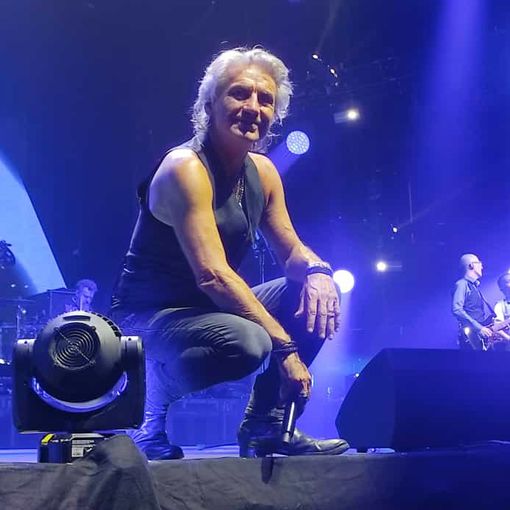 concerto ligabue