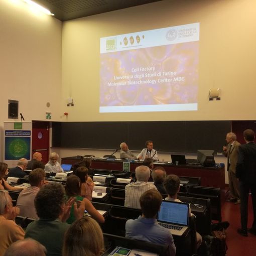 Lotta ai tumori, il Piemonte &quot;scopre&quot; le CAR-T Cells che &quot;addestrano&quot; il sistema immunitario [VIDEO]