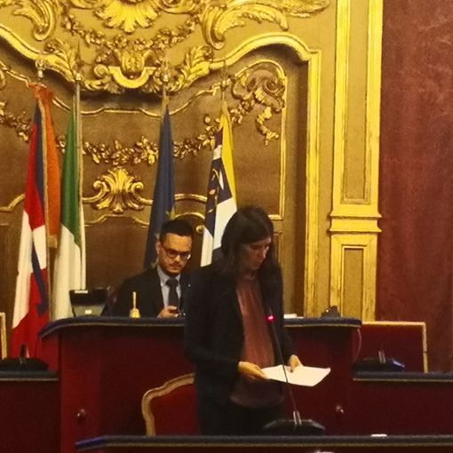 &quot;Muro&quot; contro il suk in San Pietro in Vincoli, scontro tra Appendino e maggioranza in Sala Rossa