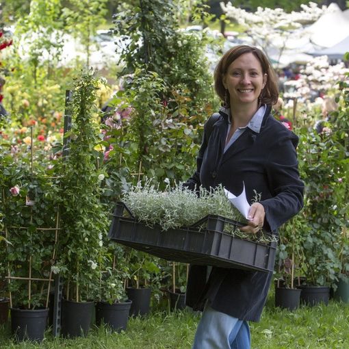 Al Castello di Masino torna, Tre giorni per il giardino: quest'anno l'evento dedicato alla biodiverstà