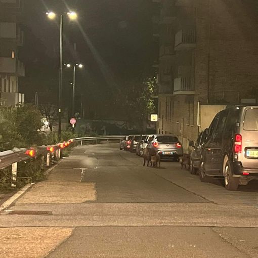 Foto dal gruppo Facebook &quot;Amici del pilonetto insieme&quot;