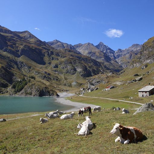 Strada provinciale Valle di Viù: slitta la riapertura del tratto tra Margone e Lago di Malciaussia