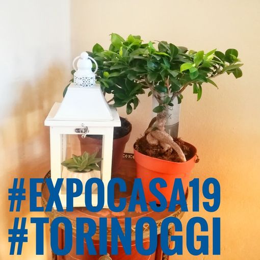 Partecipa al contest “ExpoCasa19”: sono disponibili 30 ingressi gratuiti per la fiera