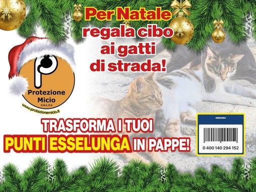 A Natale si possono aiutare i mici di nessuno con la tessera Esselunga