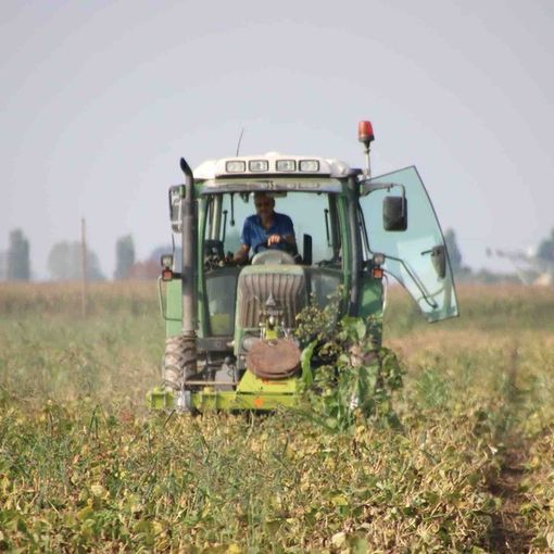 Dalla Regione 21 milioni sul bando 2021 del Psr a favore delle imprese agroindustriali