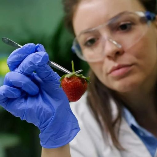 Sicurezza alimentare: tra Moncalieri, Nichelino e l'area sud oltre 2100 controlli