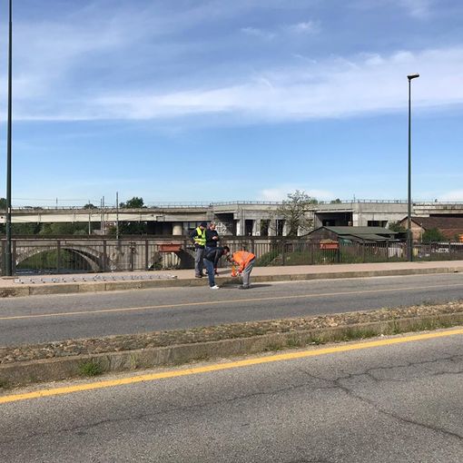 Moncalieri, completata l'analisi strutturale sul Ponte Nuovo