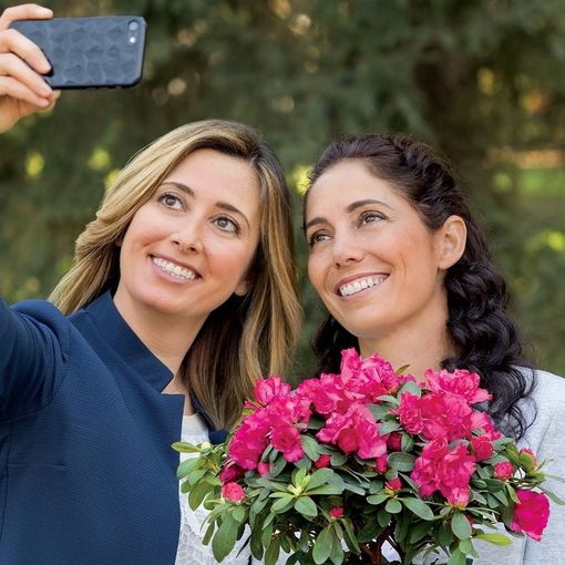 L’Azalea della Ricerca della Fondazione Airc colora 3.700 piazze per rendere i tumori femminili sempre più curabili
