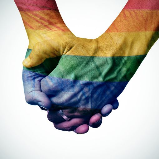 Insulti omofobi, Grippo del Pd:&quot;Sostegno all'azione legale del Torino Pride&quot;