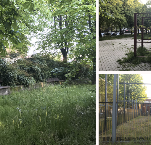 Panchine rotte, strutture arrugginite e giungla urbana: degrado in corso Cincinnato [FOTO]