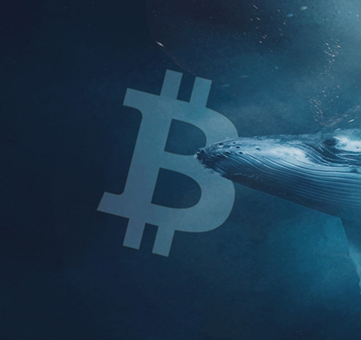 Le balene avevano capito tutto e si erano fiondate su BTC appena era sceso sotto 70 mila dollari