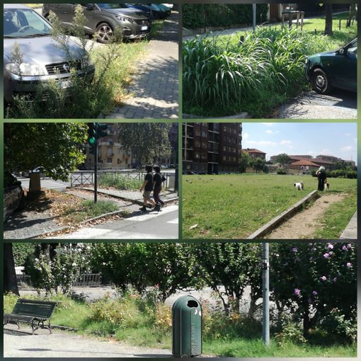La &quot;sorpresa&quot; della Crocetta: anche nel salotto buono di Torino serve manutenzione al verde [FOTO]