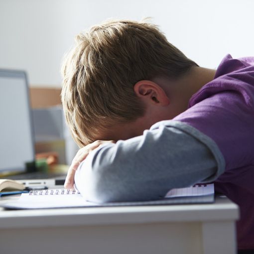 A Torino si parla di bullismo e cyberbullismo: “Problema da affrontare tutti insieme”