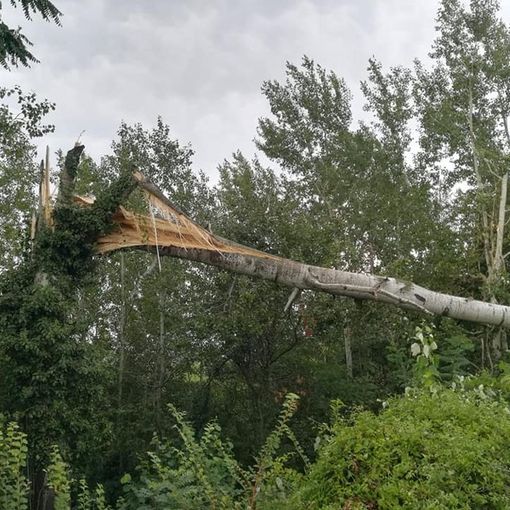 Maltempo: alberi abbattuti e blackout in Valle Soana