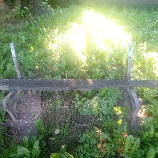 Panchine rotte, voragini ed erba alta: in corso Potenza l’area verde abbandonata