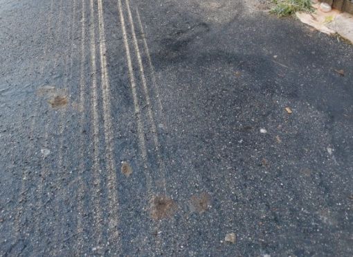 deiezioni canine in via carutti
