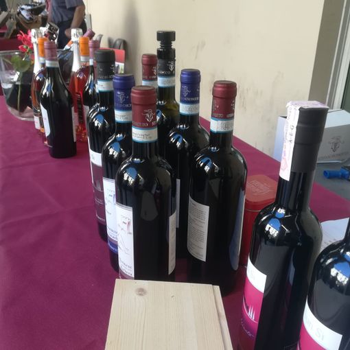Di Freisa in Freisa, un clima estivo ha accolto gli appassionati dell'enogastronomia torinese [FOTO e VIDEO]