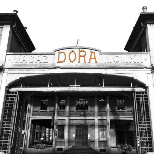 Dal 30 ottobre al 4 novembre 2018 torna a Torino NESXT Festival