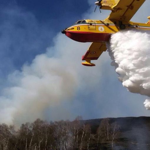 Segnalazione di un lettore: incendio boschivo a Lanzo Torinese