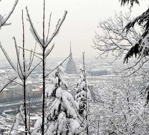 paesaggio innevato