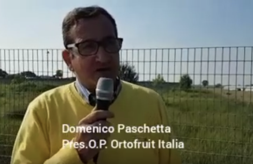 Grande successo per Mercoledì Veg che arriva a quota 200mila