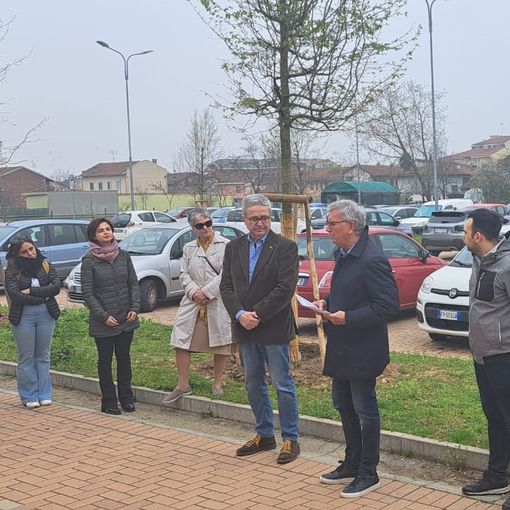 A Chivasso piantati otto alberi in memoria di una giovane vittima della strada.