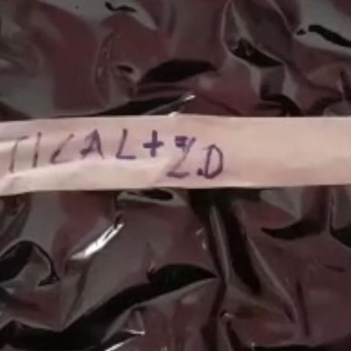 Centomila euro di marijuana in un monolocale di Barriera di Milano: arrestate due persone [VIDEO]