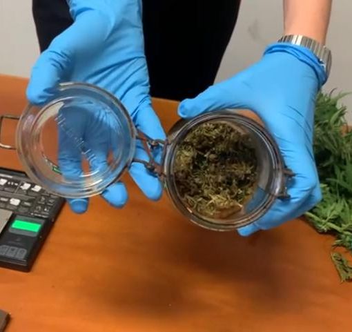 Candia, producevano droga in casa: padre e due figli denunciati