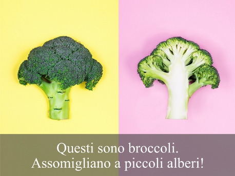 Alimentazione più sana grazie alle immagini. Una raccolta di ebook per incoraggiare i bambini a mangiare le verdure
