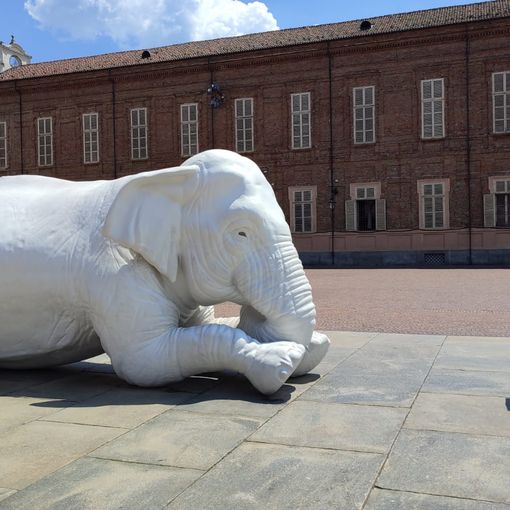 Piazzetta Reale: dopo il restauro, il bambino &quot;è tornato a leggere all'elefante&quot;