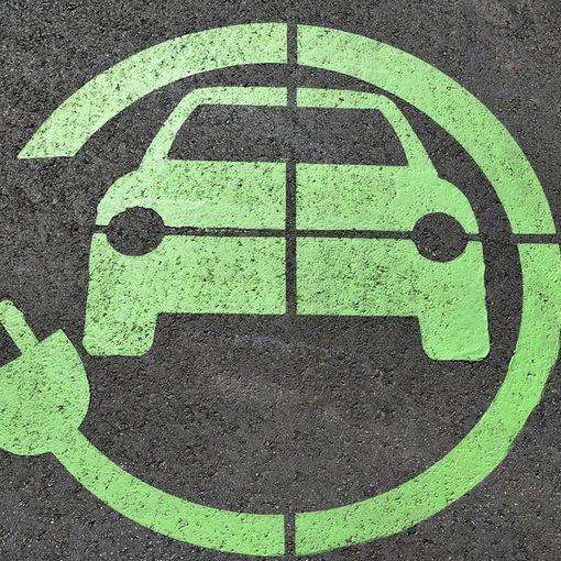 Torino sceglie il verde: se ne parla in un webinar
