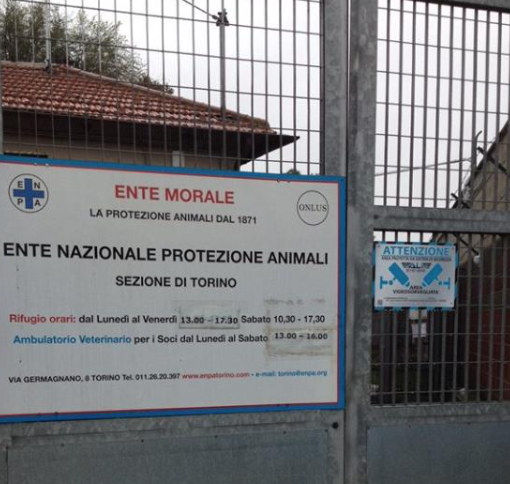 Il Comune taglia i fondi, i canili in sciopero