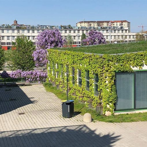 Coldiretti Piemonte agli Stati Generali del verde pubblico a Torino: il 21 e 22 novembre all'Environment Park