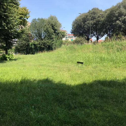 Foto di Michael Di Iesu
