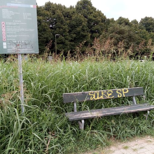 Mirafiori Sud in mezzo all'erba incolta: disagio nell'area cani di via Faccioli a Torino