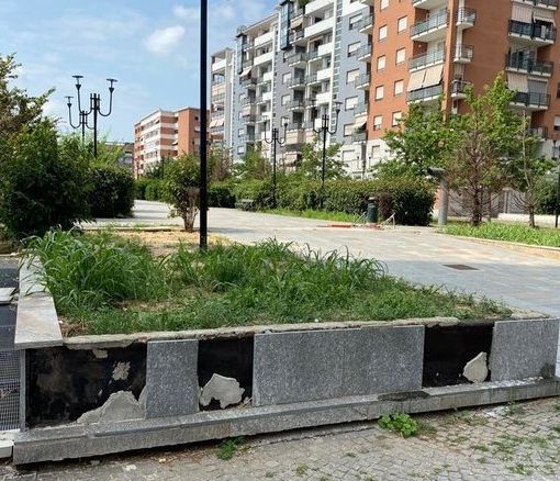 erba