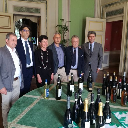 Il Canavese brinda con il suo Erbaluce a un'annata da ricordare
