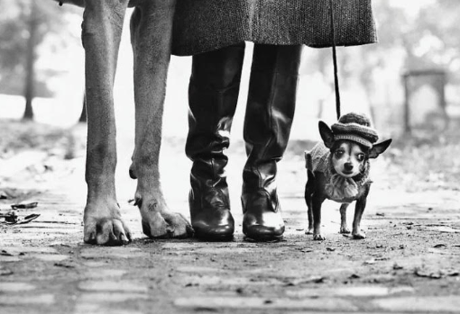 Elliott Erwitt arriva alla Palazzina di Caccia di Stupinigi