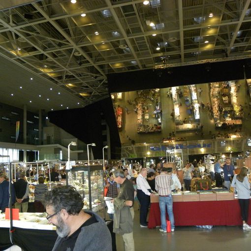 kermesse in un palazzetto dello sport
