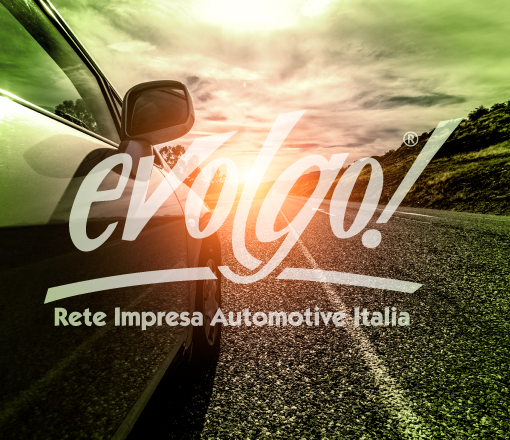 Evolgo Italia - &quot;fare rete&quot; per crescere