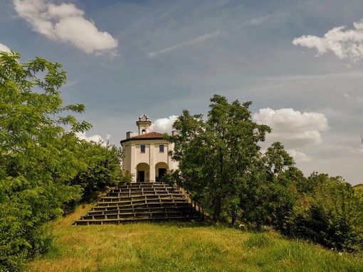 Copyright fotografie Treevision
