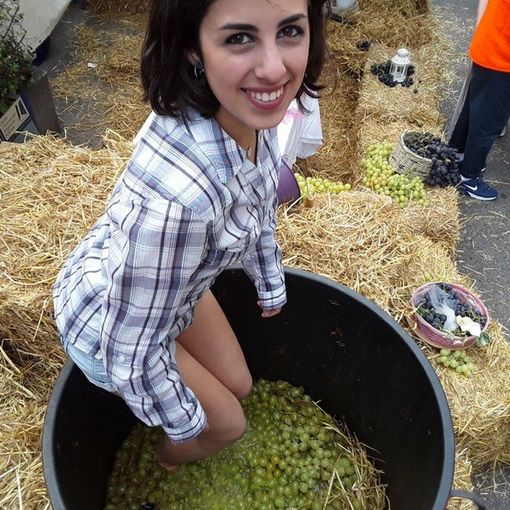 Domani a Torino la 32esima “Festa dell'uva”, ma il futuro è in bilico