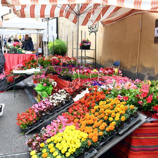 Bancarelle in strada