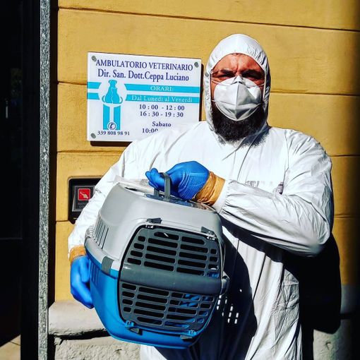 A Nichelino la storia a lieto fine del gatto Bagheera, salvato nonostante i padroni positivi al coronavirus