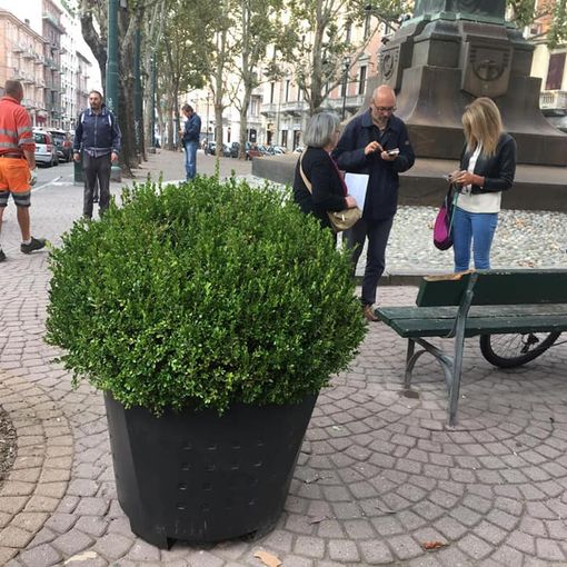 Cinque nuove fioriere per arricchire il verde di via Madama Cristina