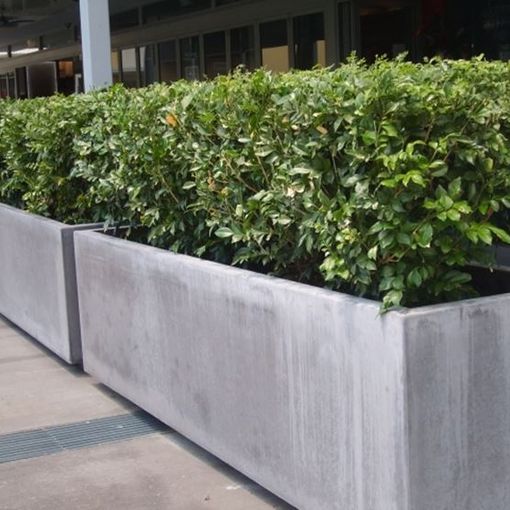 Iniziata a Torino la posa delle barriere di protezione nel centro storico