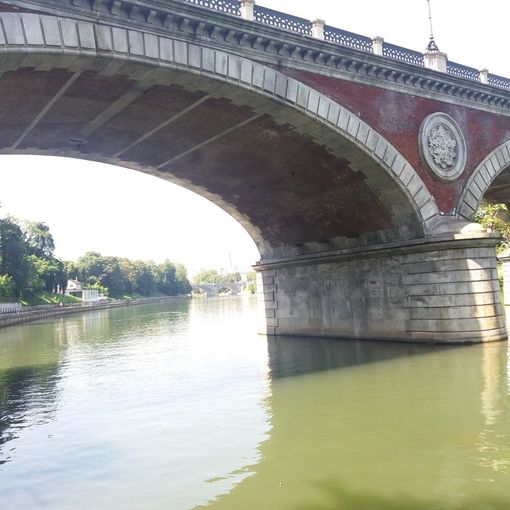 Calma piatta lungo il Po: spariti i tronchi spunta un canottiere solitario (FOTO)